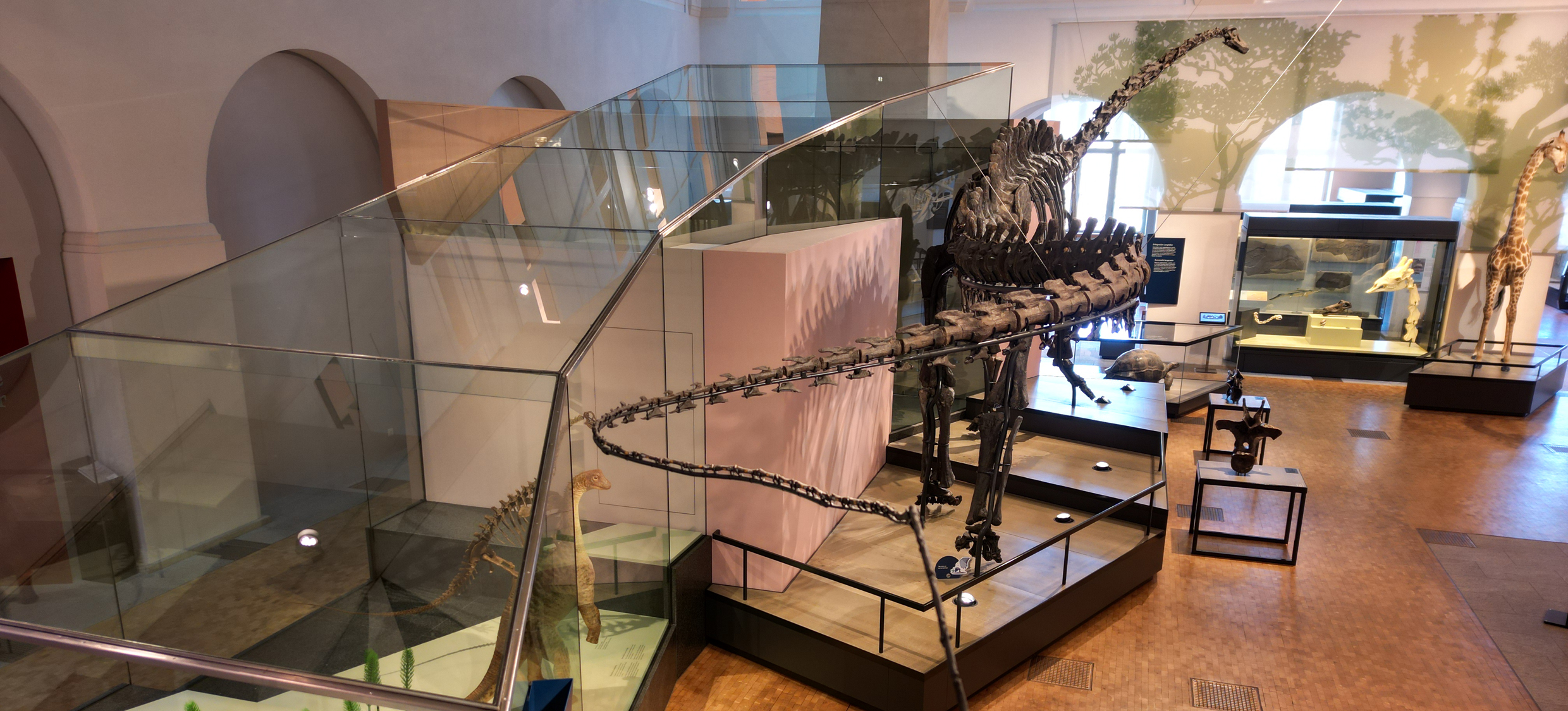 Aktuelle Sonntagsführung