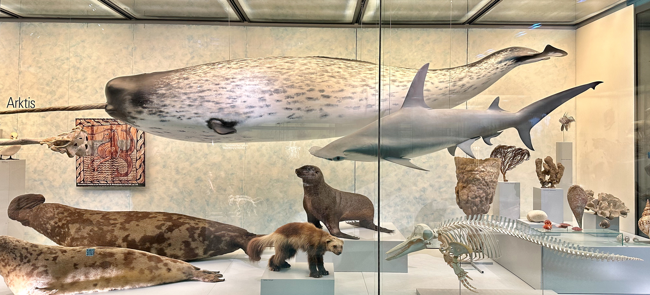 Aktuell Tiere aus aller Welt