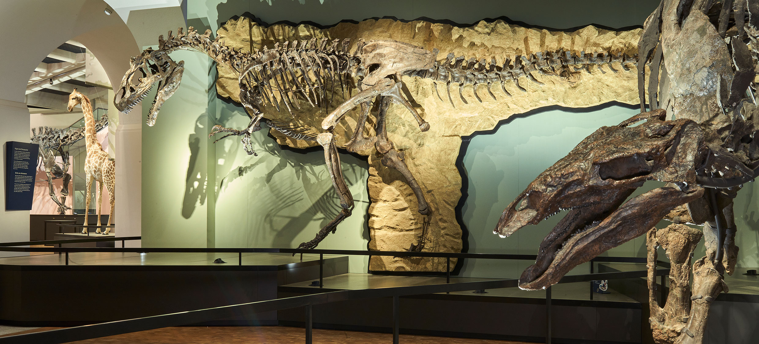 Dinosaurier Big AI II