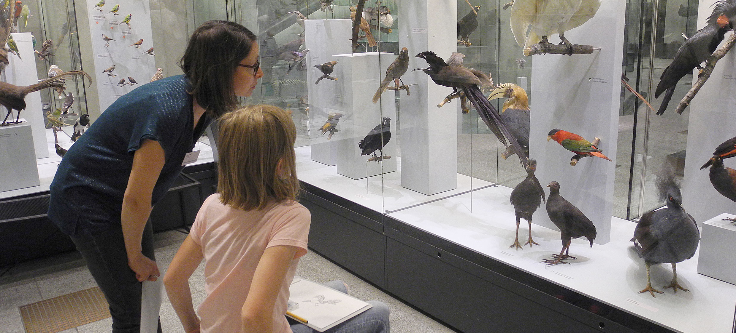 Ferienplausch Vögel zeichnen