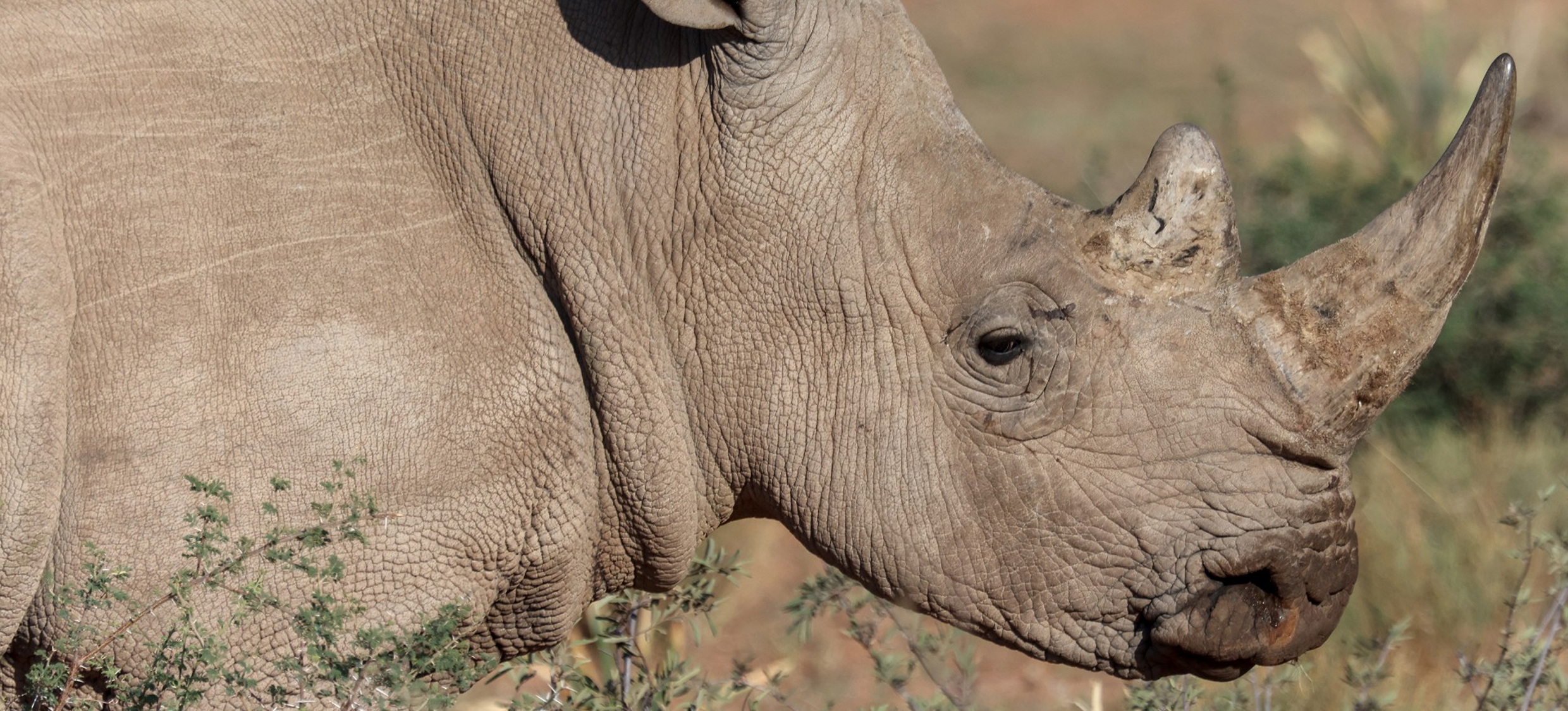 Aktuelles Wissen to Go