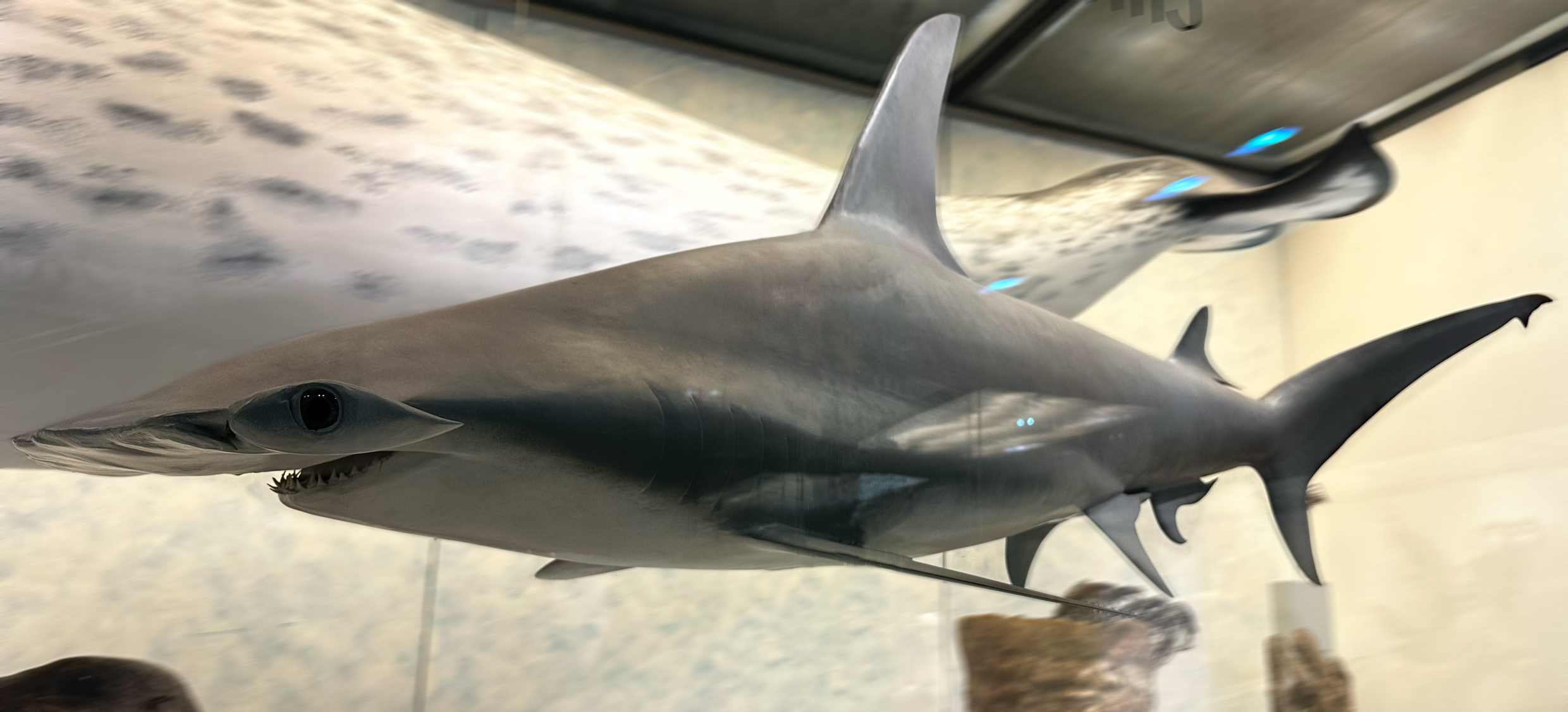 Aktuelles Wissen to Go